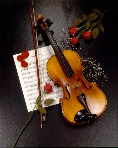 violin21